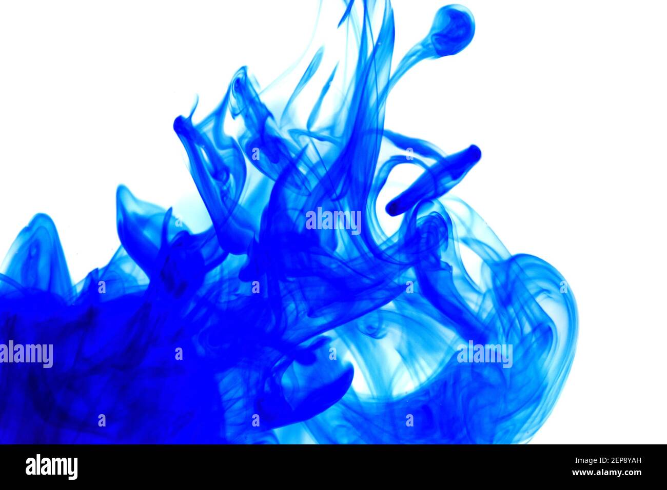 Blaue Tinte im Wasser auf weißem Hintergrund.Blot Tinte. Blaue abstrakte Farbe auf weißem Hintergrund.Farbe wirbelnd. Stockfoto