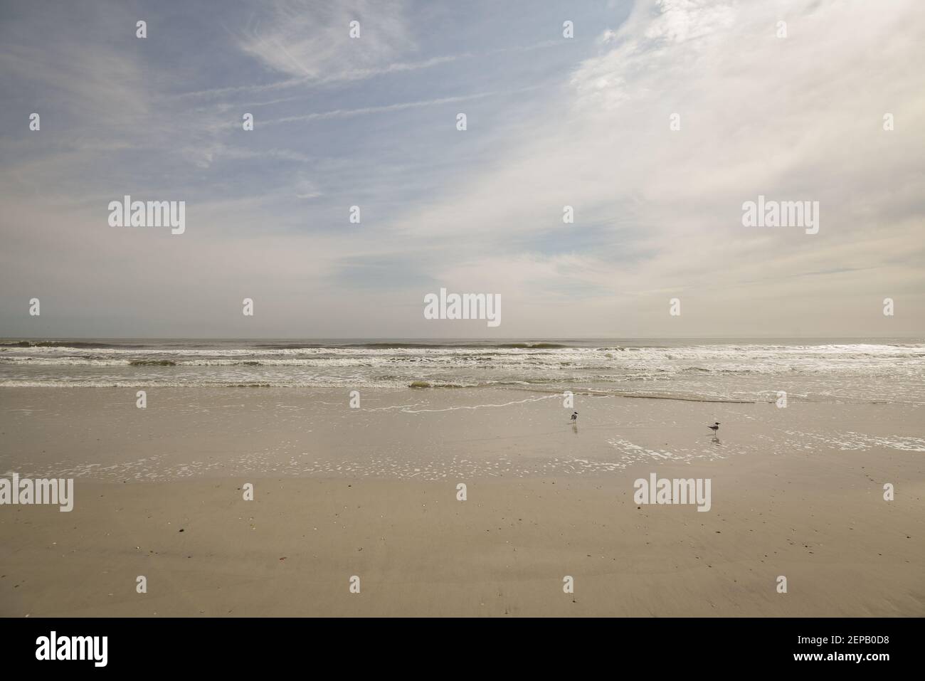 Jacksonville Florida Strand Stockfoto