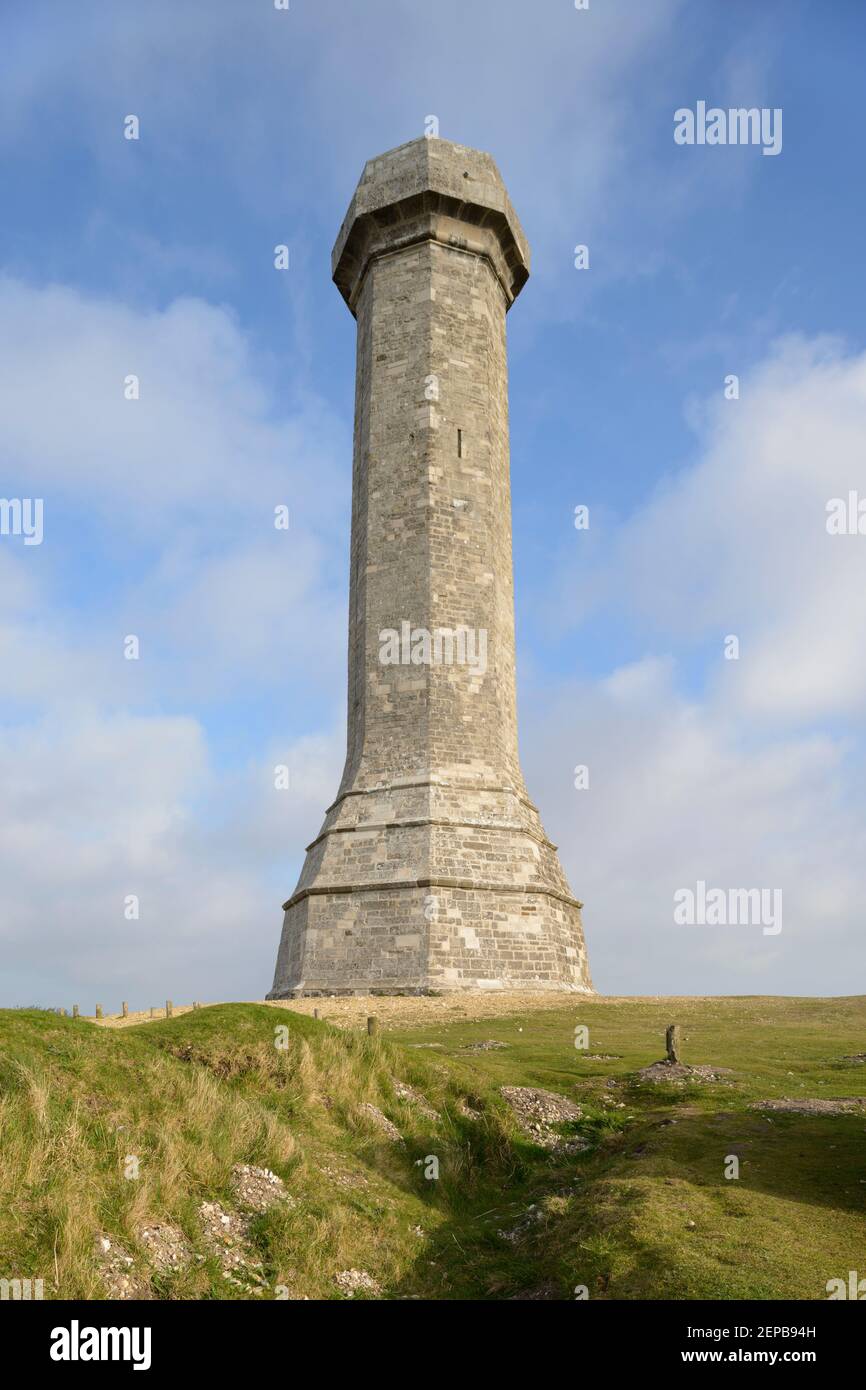 Das Hardy Monument, erbaut in Erinnerung an den Vizeadmiral Hardy im Jahr 1844, in Portesham, Dorset. Stockfoto