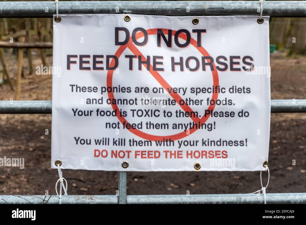 Füttern Sie nicht das Pferde-Schild, UK Stockfoto