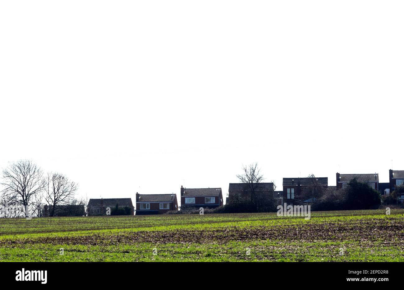 Eine Reihe von Einfamilienhäusern auf dem Horizont, Warwickshire, Großbritannien Stockfoto