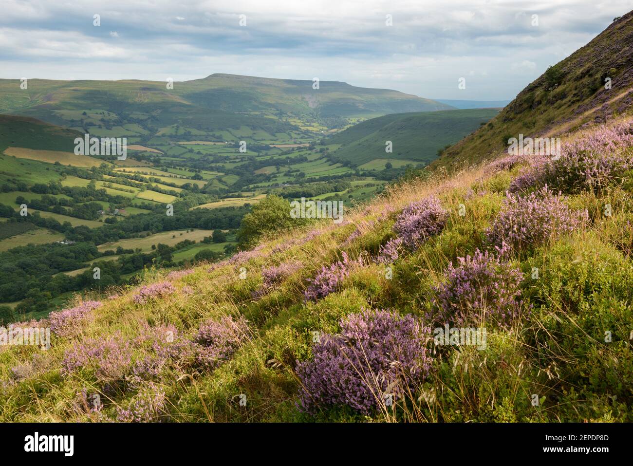Blick in Richtung Pen Cerrig-calch in den Brecon Beacons, Wales. Stockfoto