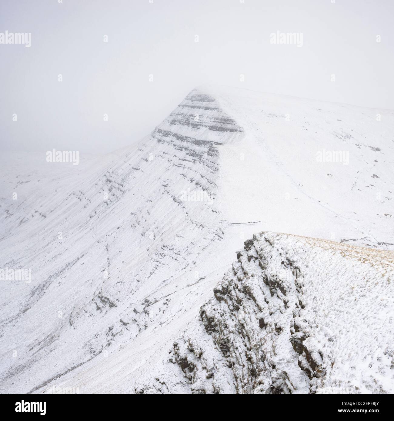 Ein Schneesturm reduziert die Sicht und macht Cribyn in den Brecon Beacons, Wales, zu einer Bleistiftskizze. Stockfoto