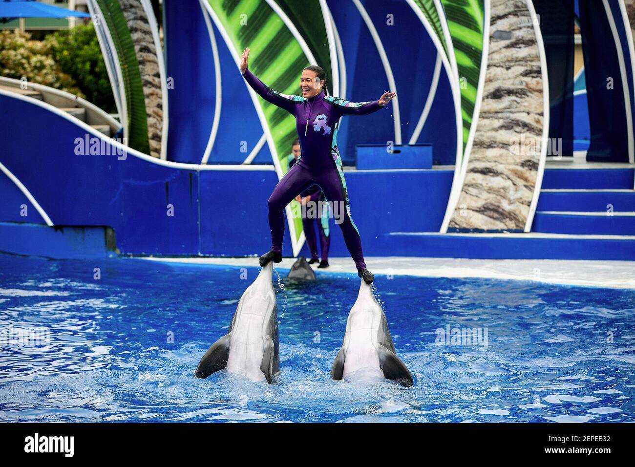 Trainer schwimmen mit den Delfinen während der Dolphin Days Show in  Seaworld am 5. Mai 2019 in San Diego, Kalifornien. Menschen für den  ethischen Umgang mit Tieren, Das SeaWorld seit langem um