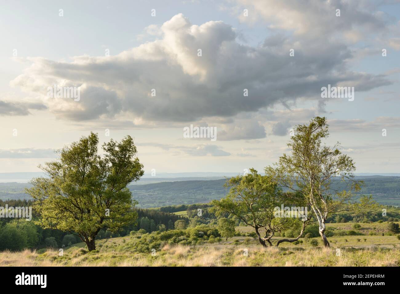 Blick über die Landschaft von North Somerset von Black Down auf die Mendip Hills, Somerset. Stockfoto