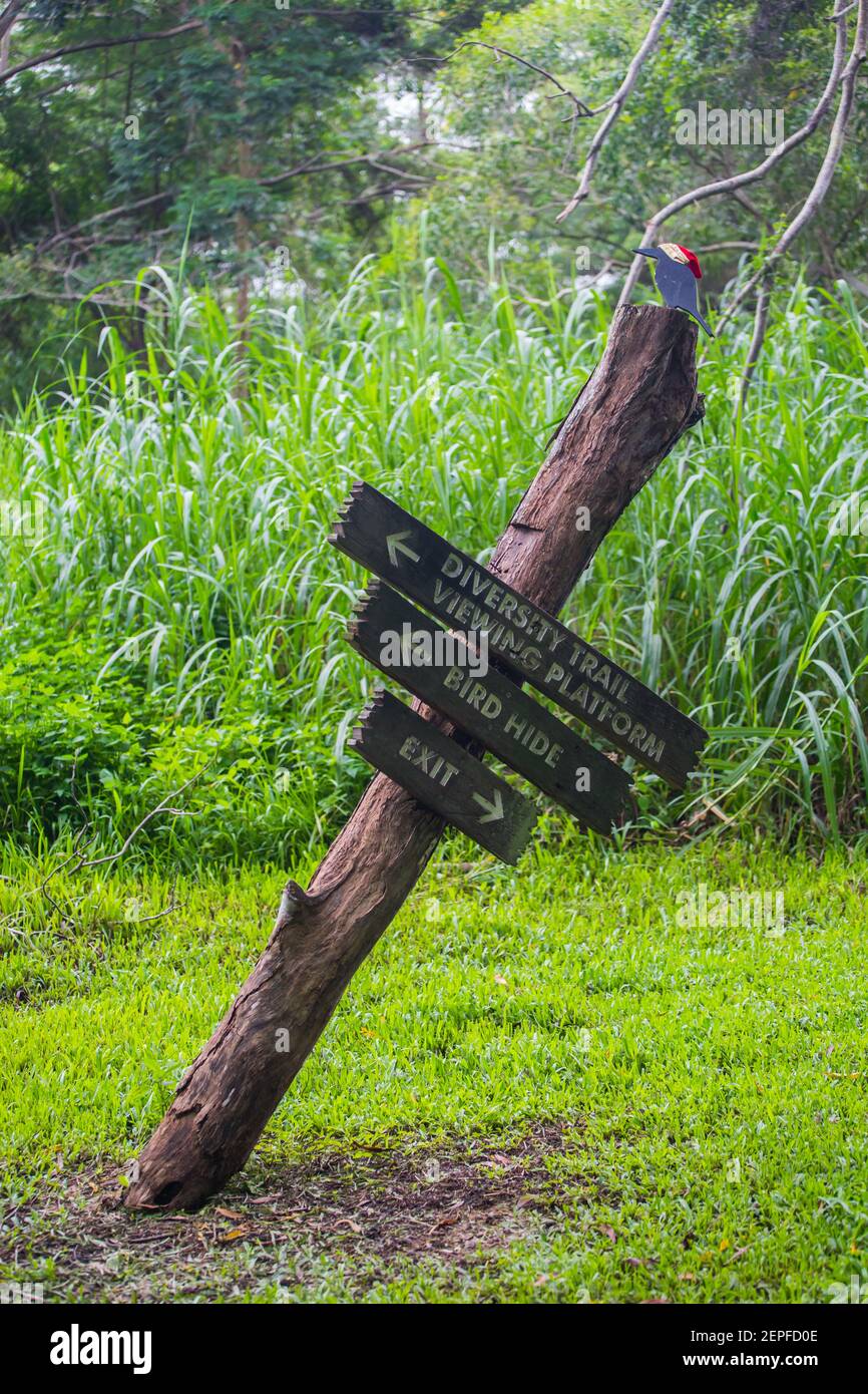Ein schräges Schild an einer grünen Umgebung im Freien. Singapur. Stockfoto