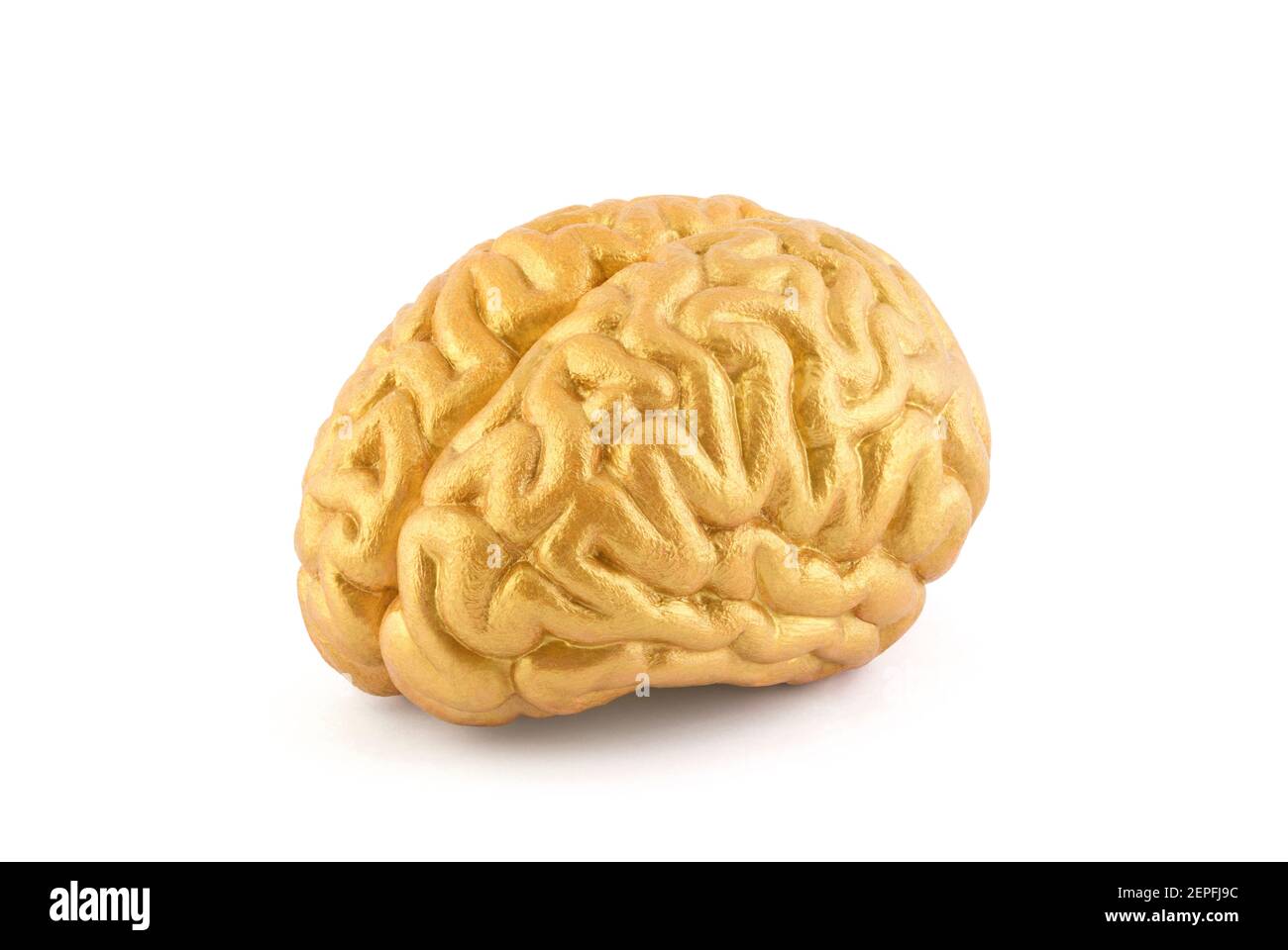 Menschliches goldenes Gehirnmodell auf weißem Hintergrund mit Beschneidungspfad Stockfoto