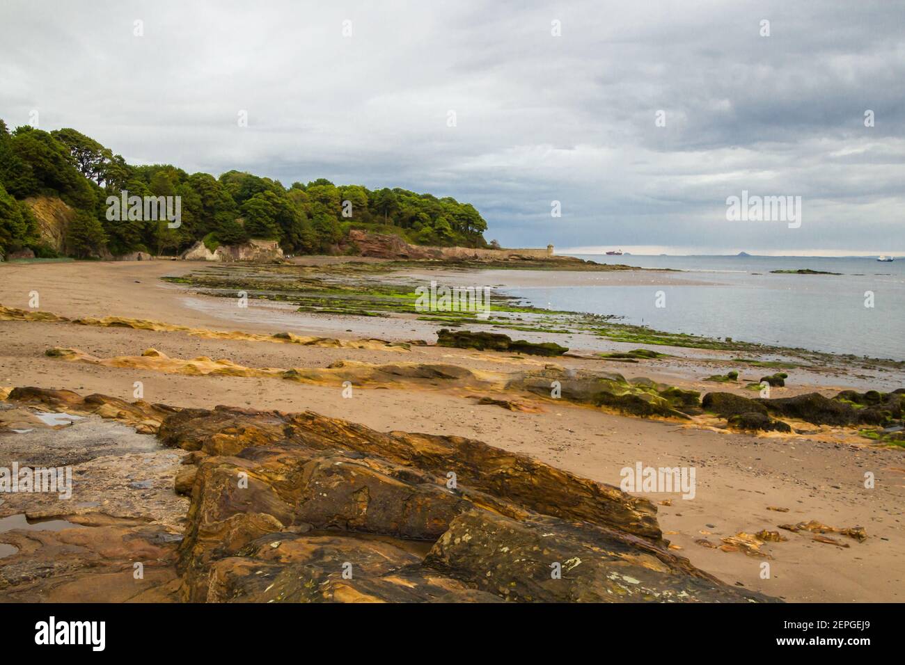 Kirkcaldy Sandy Beach, Teil der Küste unterhalb von Ravenscraig Castle mit Signature Sandstein an der Front und Washed Out Green Alga Stockfoto