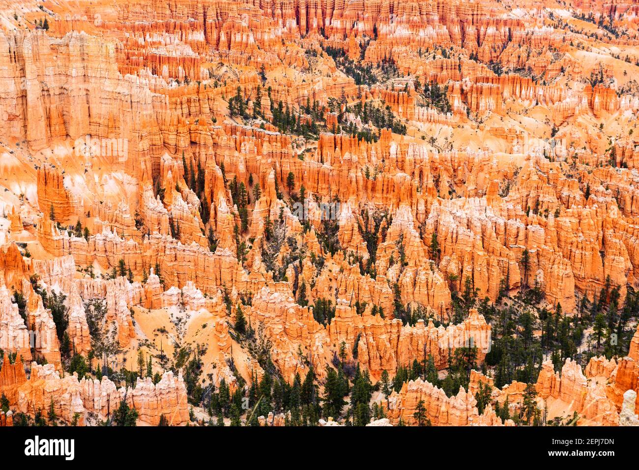 Bryce Canyon National Park, Utah, USA bei Tag. Stockfoto