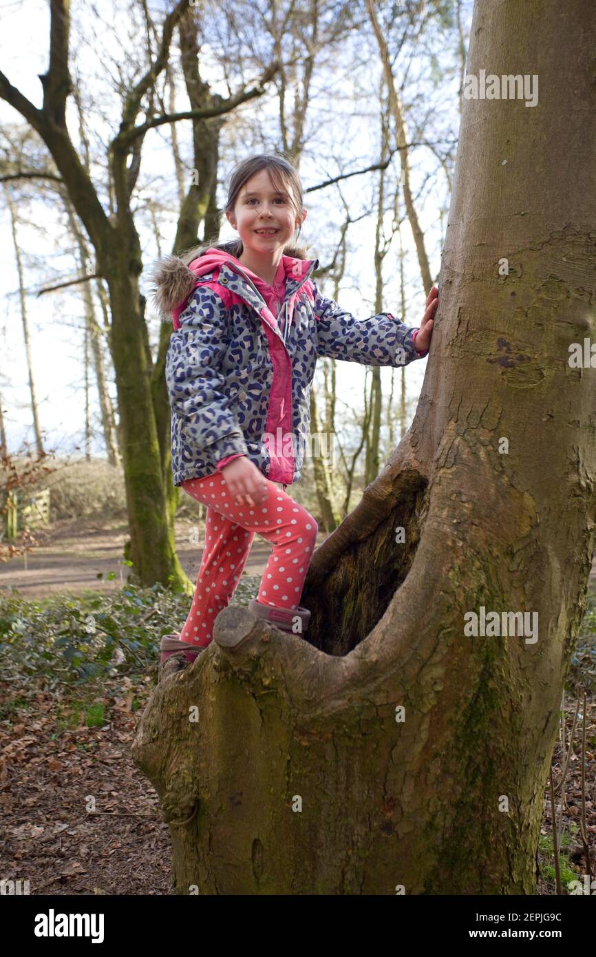 Junges Mädchen klettert Bäume im Wald. England Stockfoto