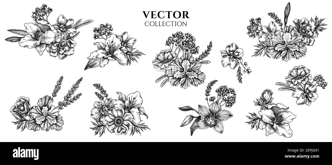 Blumenstrauß von schwarzen und weißen Anemone, Lavendel, Rosmarin ewig, phalaenopsis, Lilie, iris Stock Vektor