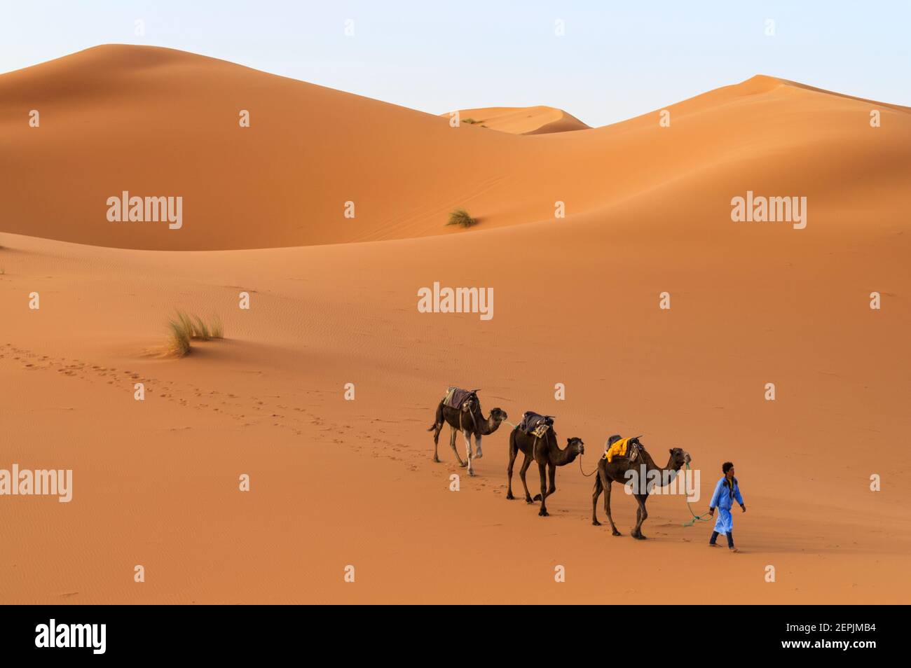 Merzouga, Sahara, Marokko Stockfoto