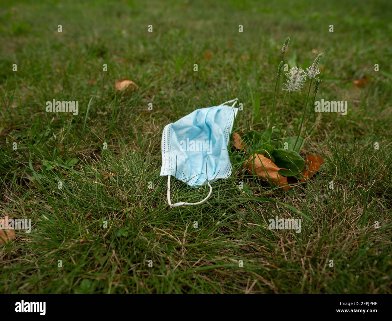 Gebrauchte Gesichtsmaske auf grünem Gras als Umweltverschmutzung in Ein öffentlicher Park Plastikmüll Stockfoto