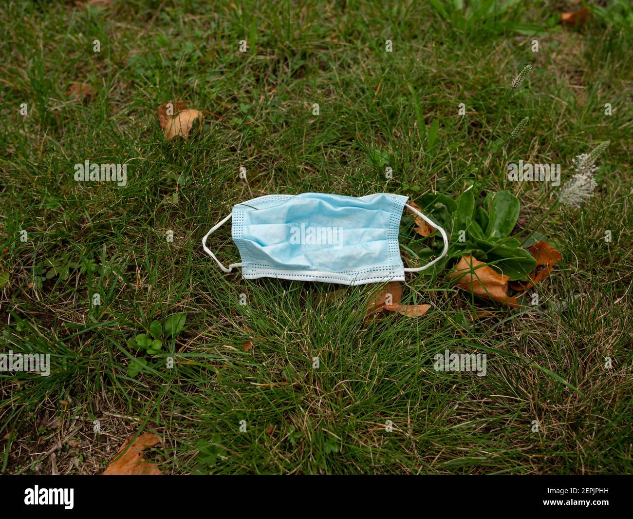 Gebrauchte Gesichtsmaske auf grünem Gras als Umweltverschmutzung in Ein öffentlicher Park Plastikmüll Stockfoto