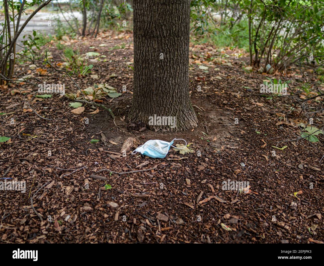 Gebrauchte covid-19 Gesichtsmaske in der Natur neben einem Baum Als Umweltverschmutzung und Plastikmüll in einem öffentlichen Park Stockfoto