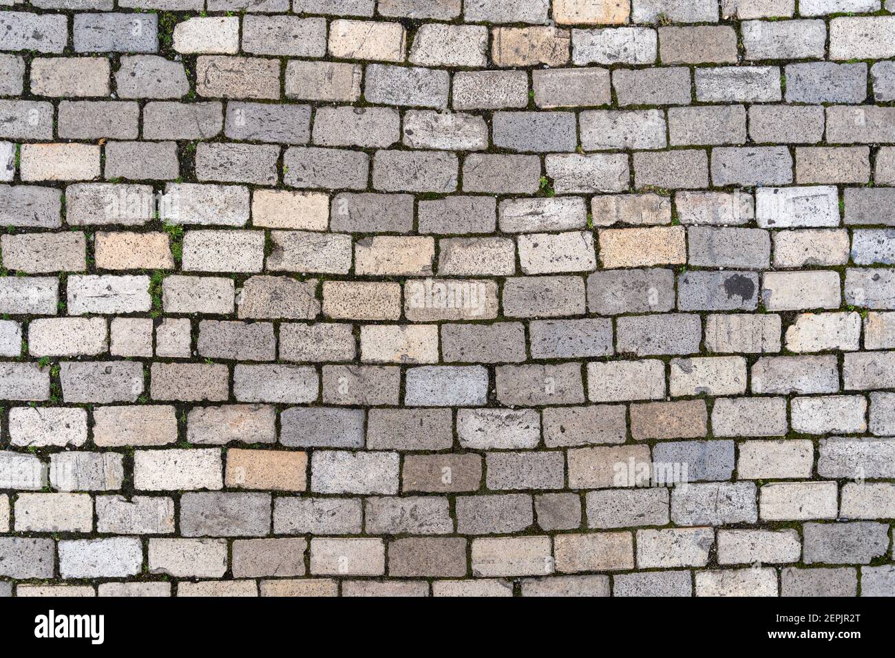 Steinpflaster Muster auf einer Straße oder Pflaster, grau Granit Material Textur Stockfoto