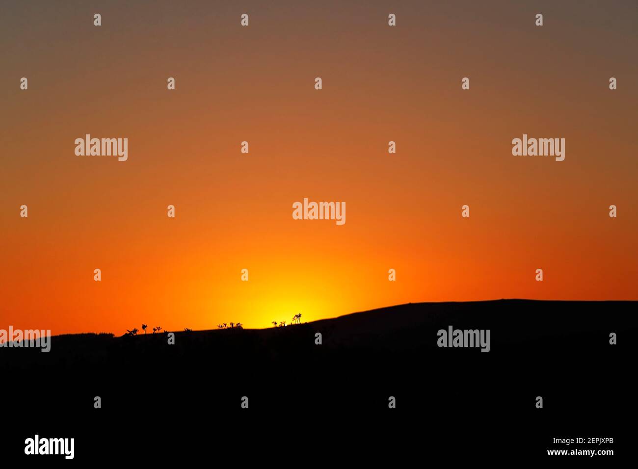 Der goldene Schein des Sonnenuntergangs, wenn die Sonne unter den Horizont fällt. Stockfoto