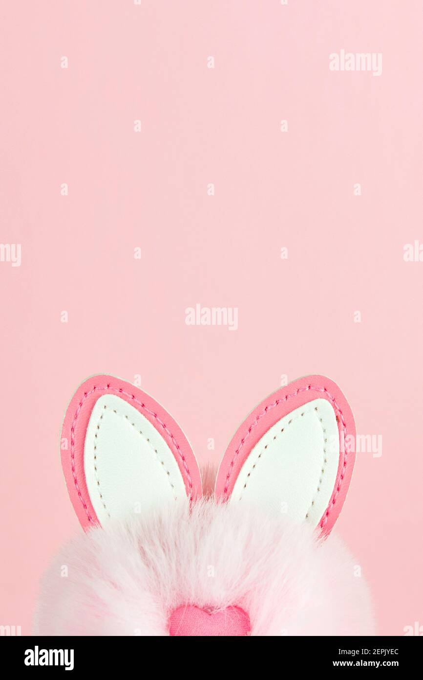 Ohren eines Osterhasen auf rosa Hintergrund Stockfoto