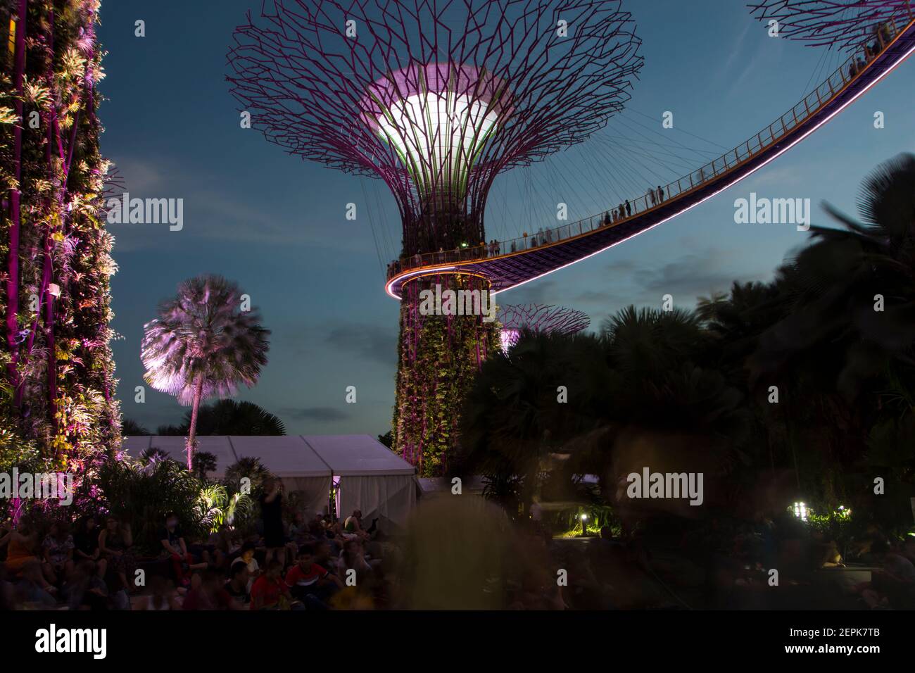 Licht- und Musikshow im Super Tree Grove in den Gardens of the Bay in Singapur. Stockfoto