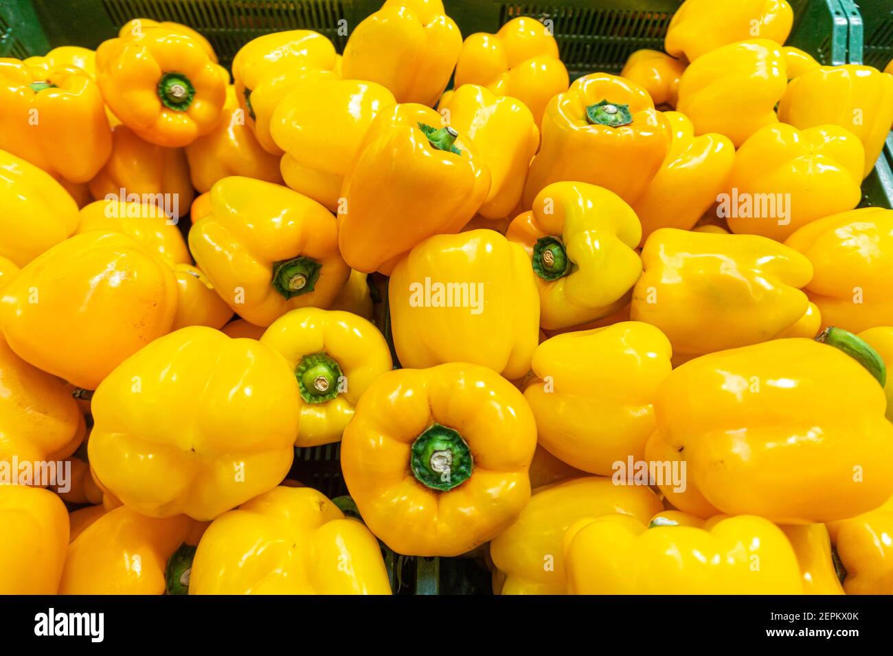 Goldene gelbe Paprika im Lebensmittelgeschäft gelegt, Paprika Textur Stockfoto