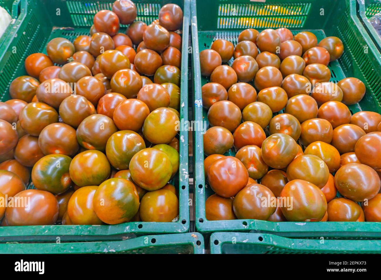 Saftige schwarze Tomaten in einer grünen Plastikbox auf dem Markt. Tomatenhintergrund Stockfoto