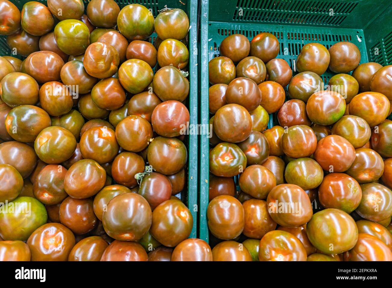 Ferkel willey's französisch schwarze Tomaten, schwarze Tomaten im Lebensmittelgeschäft Stockfoto
