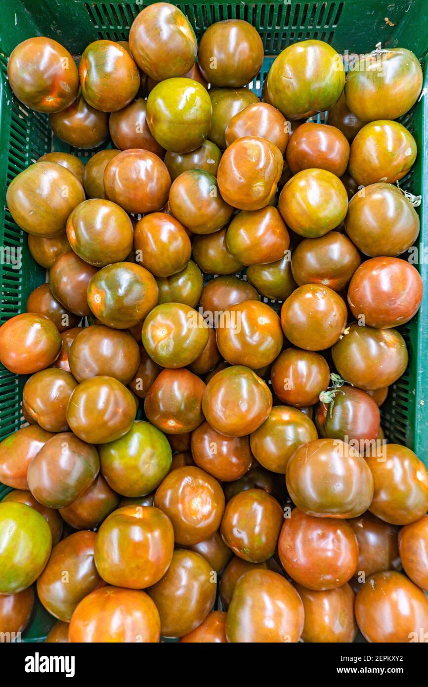 Schwarze Tomaten auf dem Bauernmarkt, Tomatenmuster Stockfoto