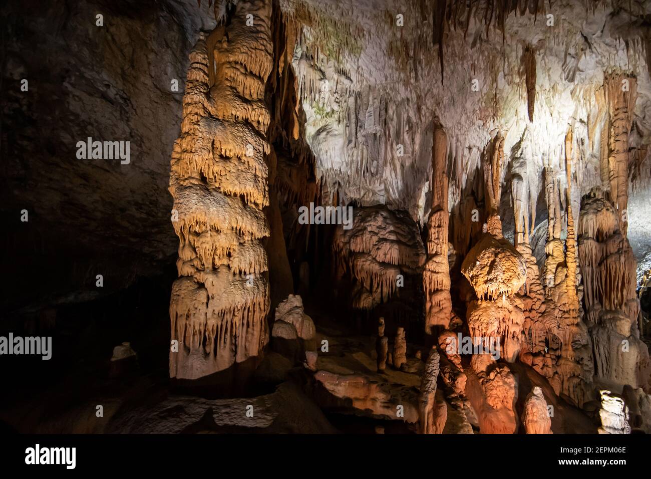 Postojna Höhle riesige Säule, Slowenien 2020, Postojna jama Stockfoto