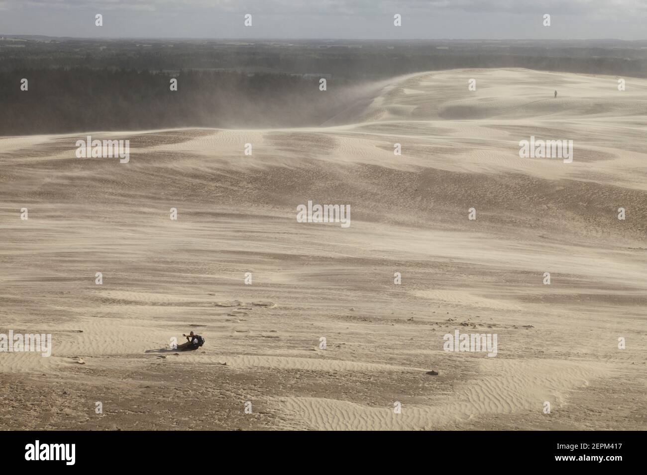 Winderosion auf Wanderdüne Rubjerg Knude während Sandsturm, Dänemark Stockfoto