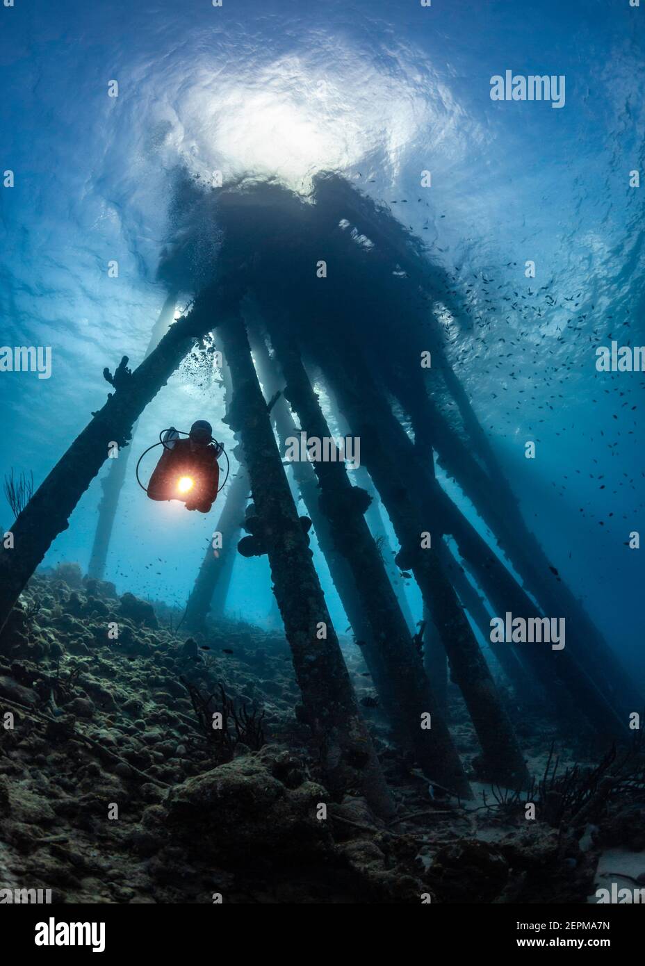 Scuba Diver unter dem Salt Pier von Bonaire, Leeward Antillen Stockfoto