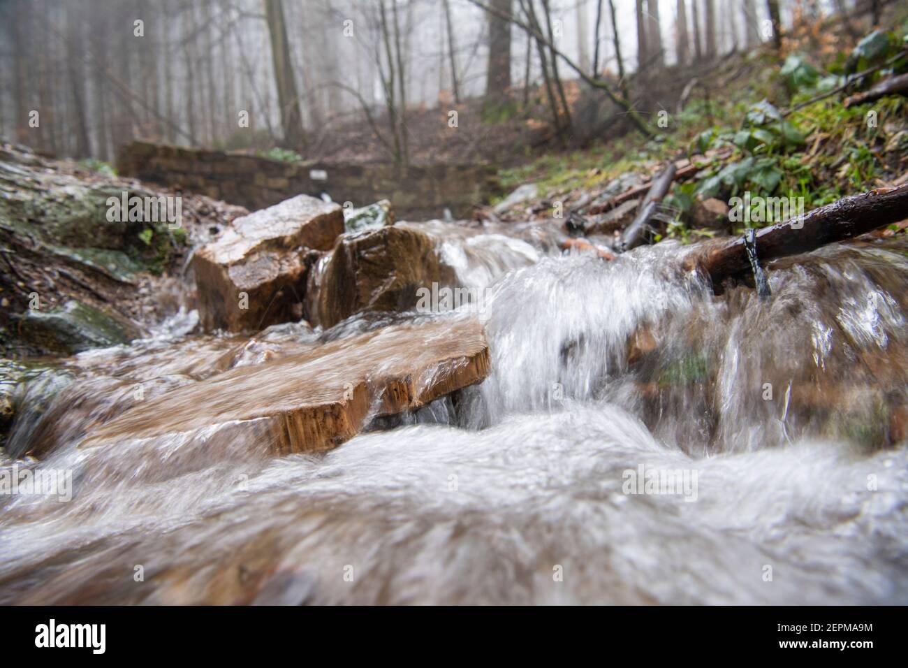 Kahleborn, Deutschland. Februar 2021, 05th. Kristallklar ist das Wasser der Kahle-Born-Quelle, die im Wald bei Kiedrich abwärts fließt. Jeden Tag kommen unzählige Menschen in den Wald, um das Quellwasser in Flaschen oder Kanistern zu sammeln und mit nach Hause zu nehmen. Quelle: Boris Roessler/dpa/Alamy Live News Stockfoto