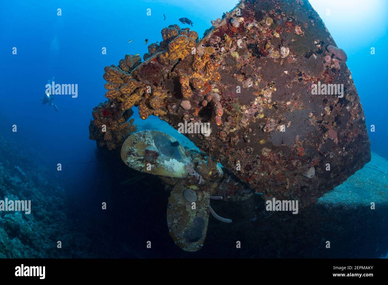Scuba Diver neben der Prop of the Hilma Hooker Wrack, Bonaire, Leeward Antillen Stockfoto