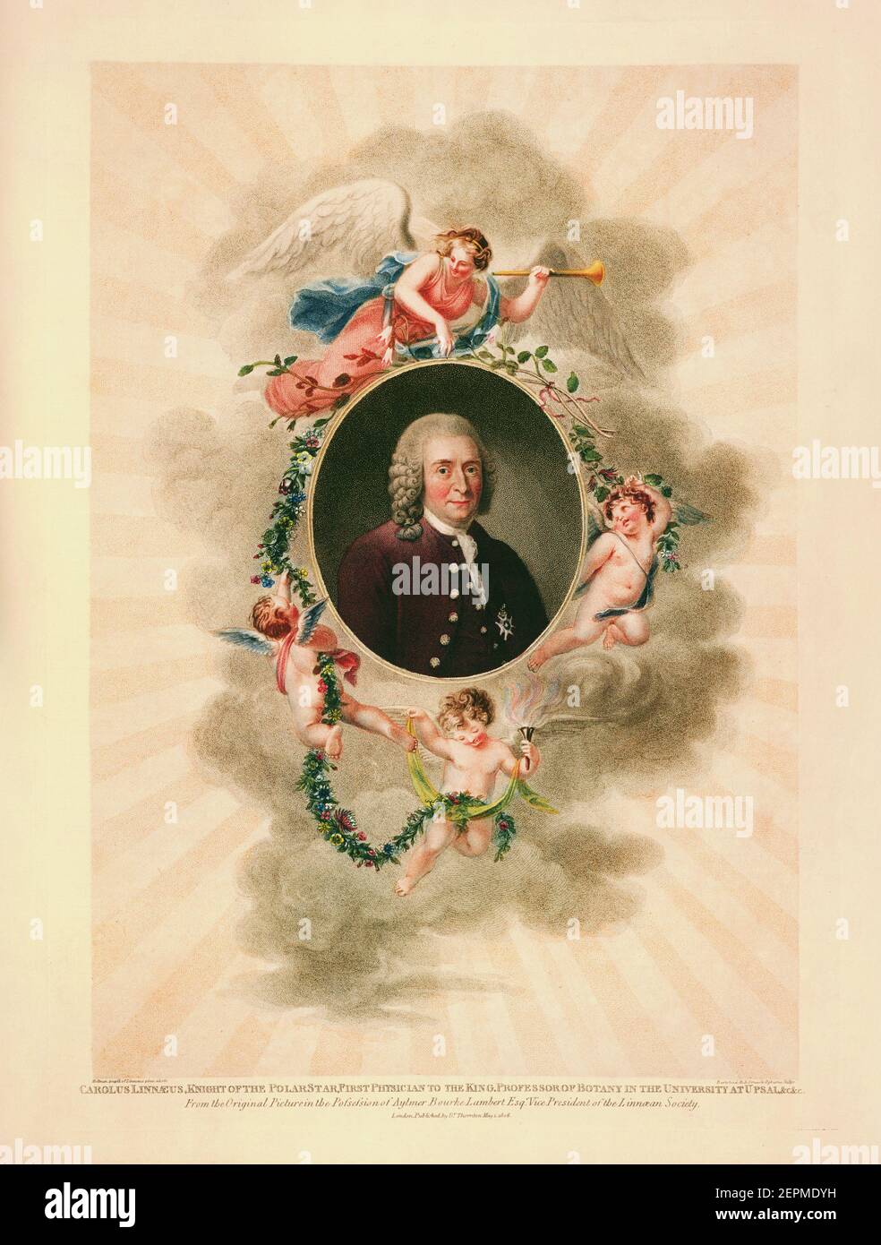 Carolus Linnaeus, Ritter des Polarsterns, erster Arzt des Königs, Professor für Botanik an der Universität Upsal. Aus dem Originalbild in Stockfoto