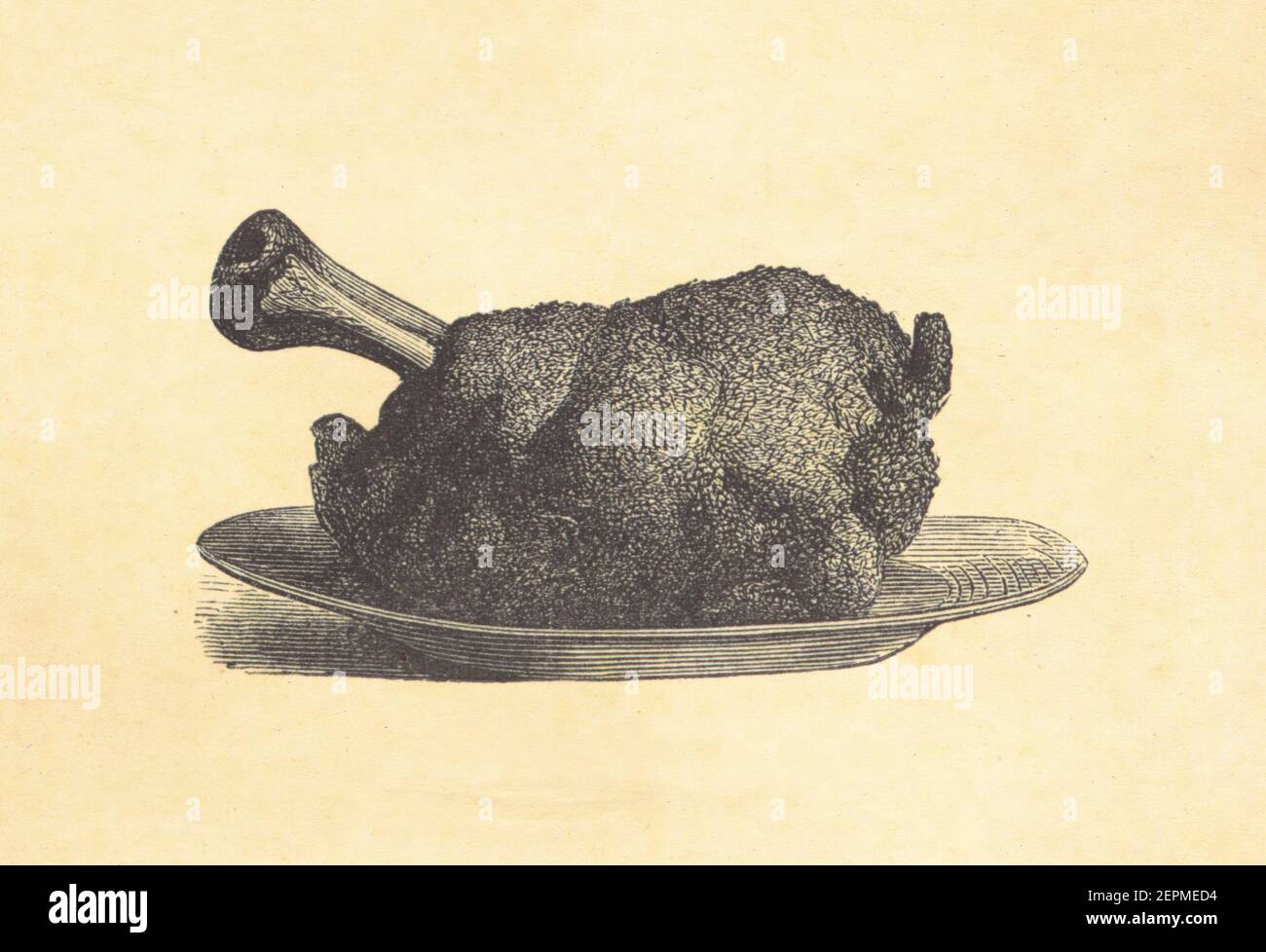 Antique illustration of charlotte mold. Published in Le livre de cuisine,  par Jules Goufe, Librarie Hachette et Cie (Paris, 1874 Stock Photo - Alamy