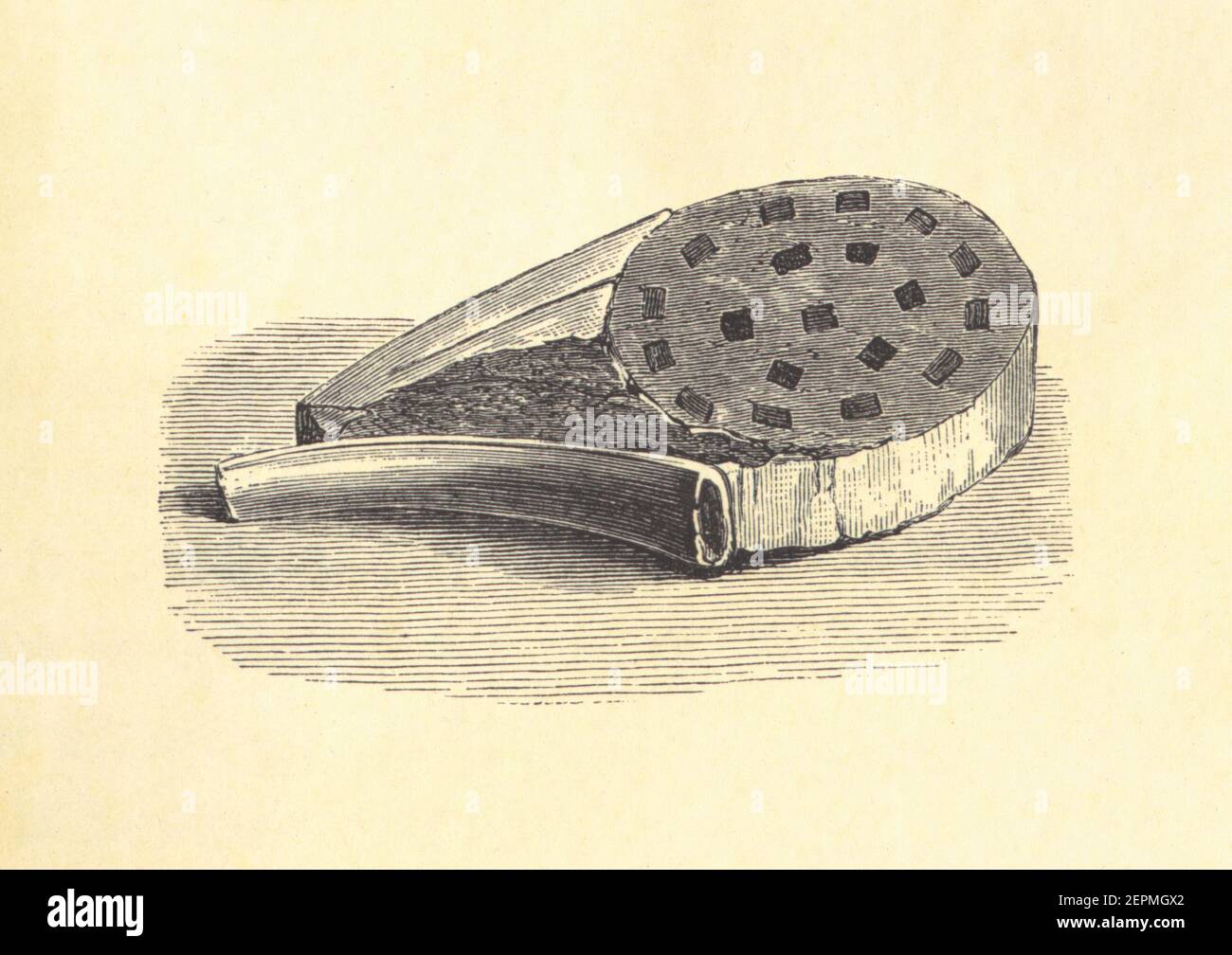 Antike Illustration von Kalbsschnitzel. Veröffentlicht in Le livre de cuisine, par Jules Goufe, Librarie Hachette et Cie (Paris, 1874). Stockfoto