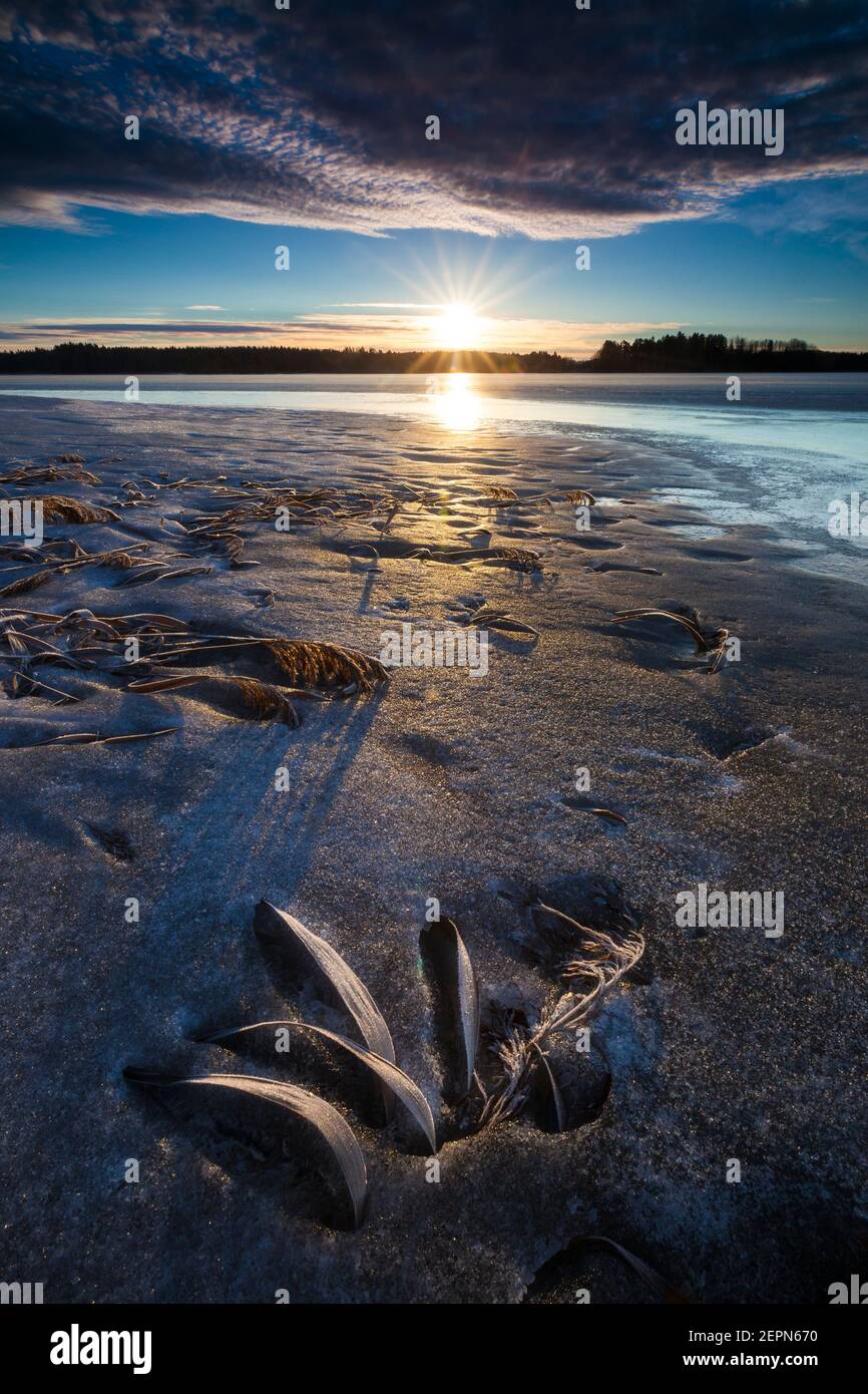 Frühmorgens Winterlandschaft bei Årvold im See Vansjø, Moss kommune, Østfold, Norwegen. Stockfoto
