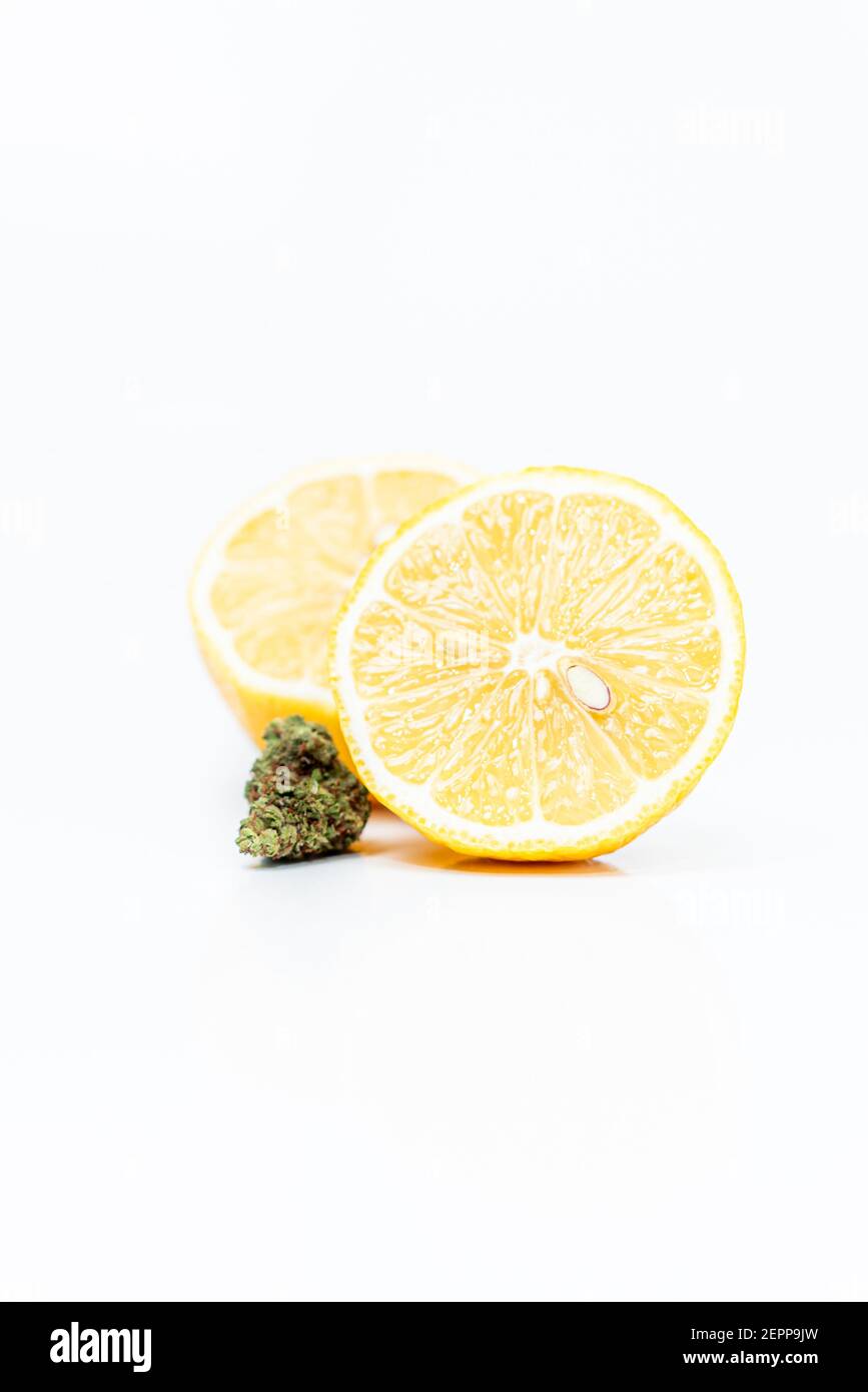 Cannabisblüten und Zitronen auf weißem Hintergrund. Limonen-Terpene-Konzept. Stockfoto