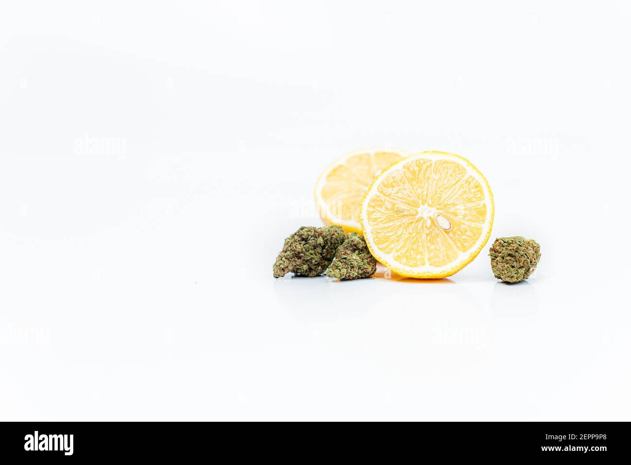 Cannabisblüten und Zitronen auf weißem Hintergrund. Limonen-Terpene-Konzept. Stockfoto