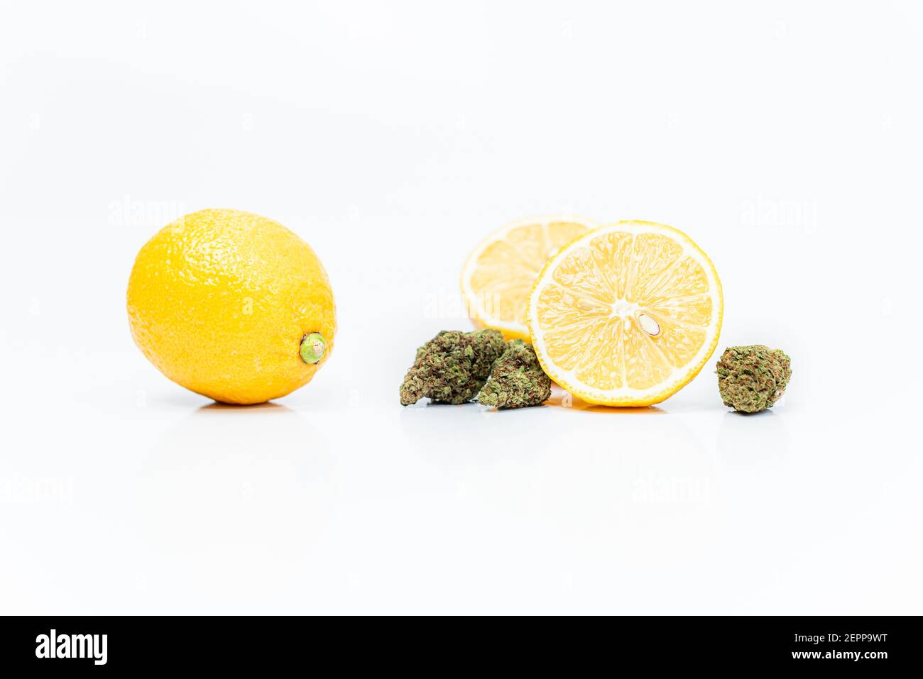 Cannabisblüten und Zitronen auf weißem Hintergrund. Limonen-Terpene-Konzept. Stockfoto