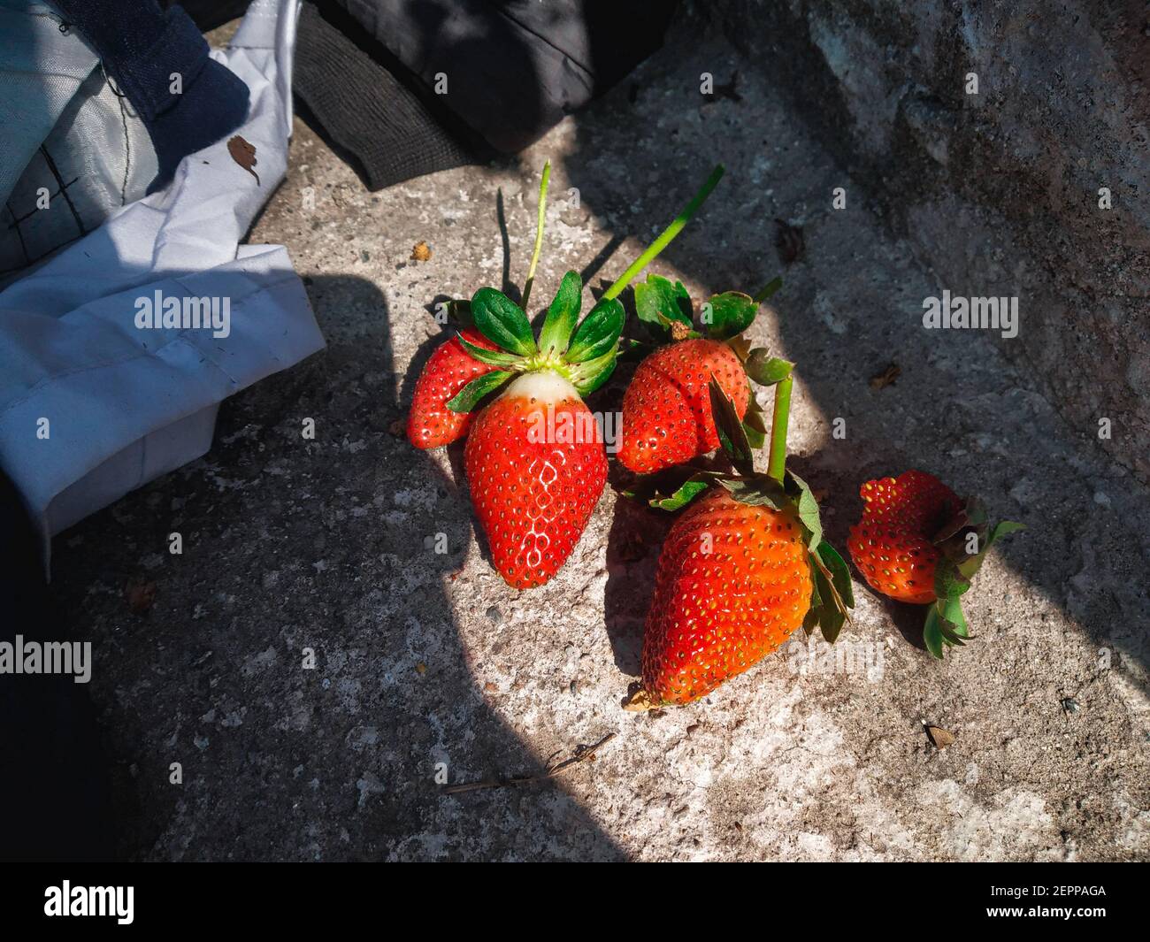 Rote reife Erdbeeren Hintergrund. Nahaufnahme, Draufsicht.Hintergrund von frisch geernteten Erdbeeren, direkt darüber. Stockfoto