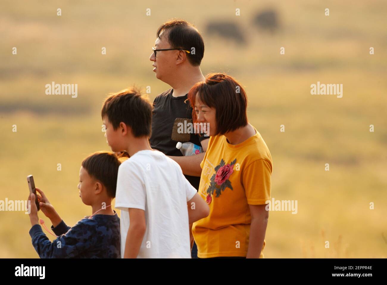 Eine Familie, die Yellowstone über den Bildschirm auf dem Handy genießt. Stockfoto