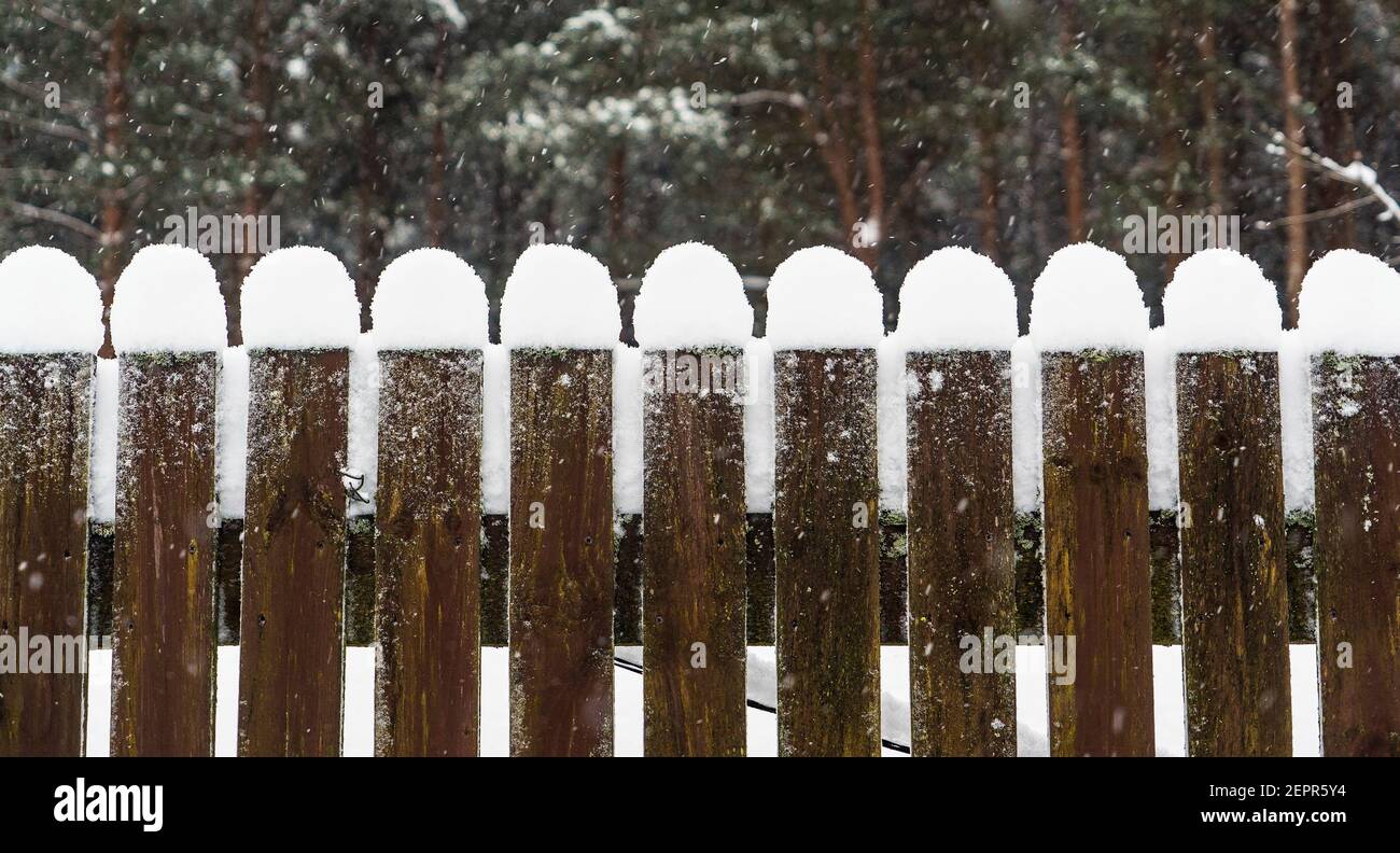 Holzzaun mit Schneekappen im Winter. Stockfoto
