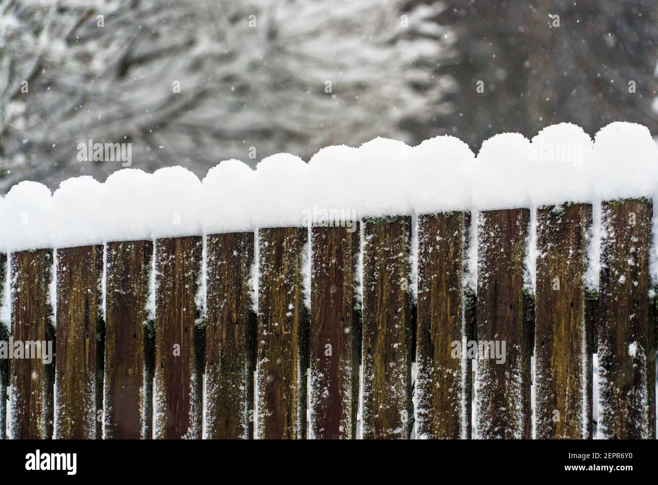 Glatte Schneekappen auf den Holzbohlen des Gartenzauens. Stockfoto
