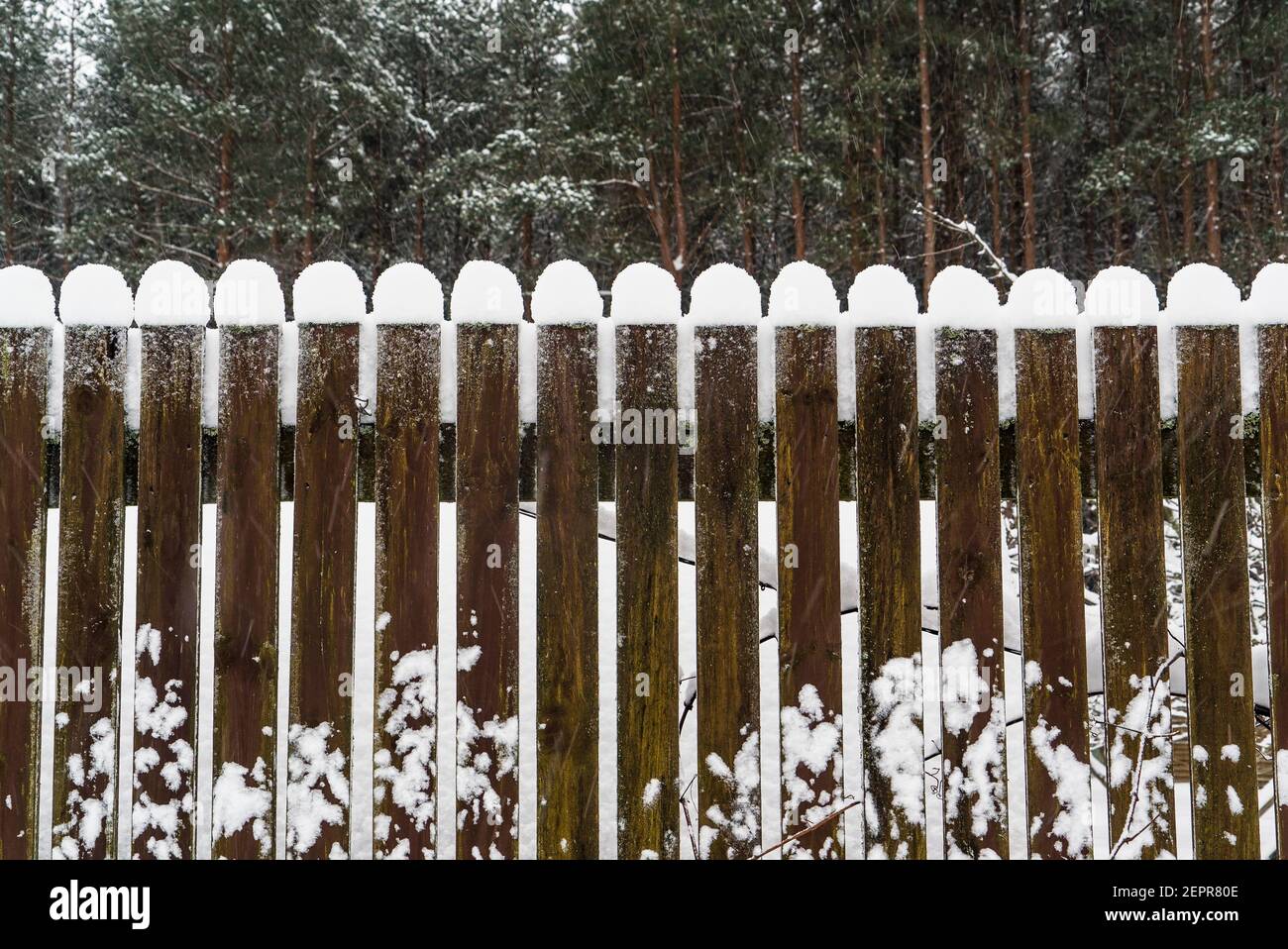 Glatte Schneekappen auf den Holzbohlen des Gartenzauens. Stockfoto