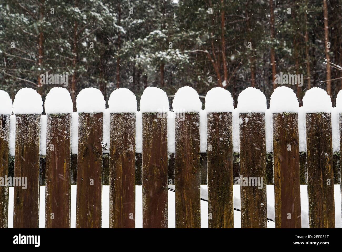 Glatte Schneekappen auf den Holzbohlen des Gartenzauens. Stockfoto