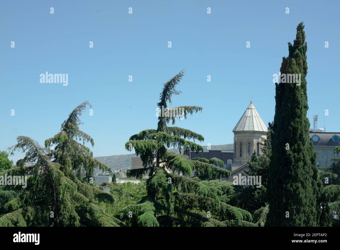 Landschaft in Tiflis, Georgien mit immergrünen Nadelbäumen wie Zypressen, Fichten und der Kuppel der Kirche om einem sonnigen Sommertag. Stockfoto