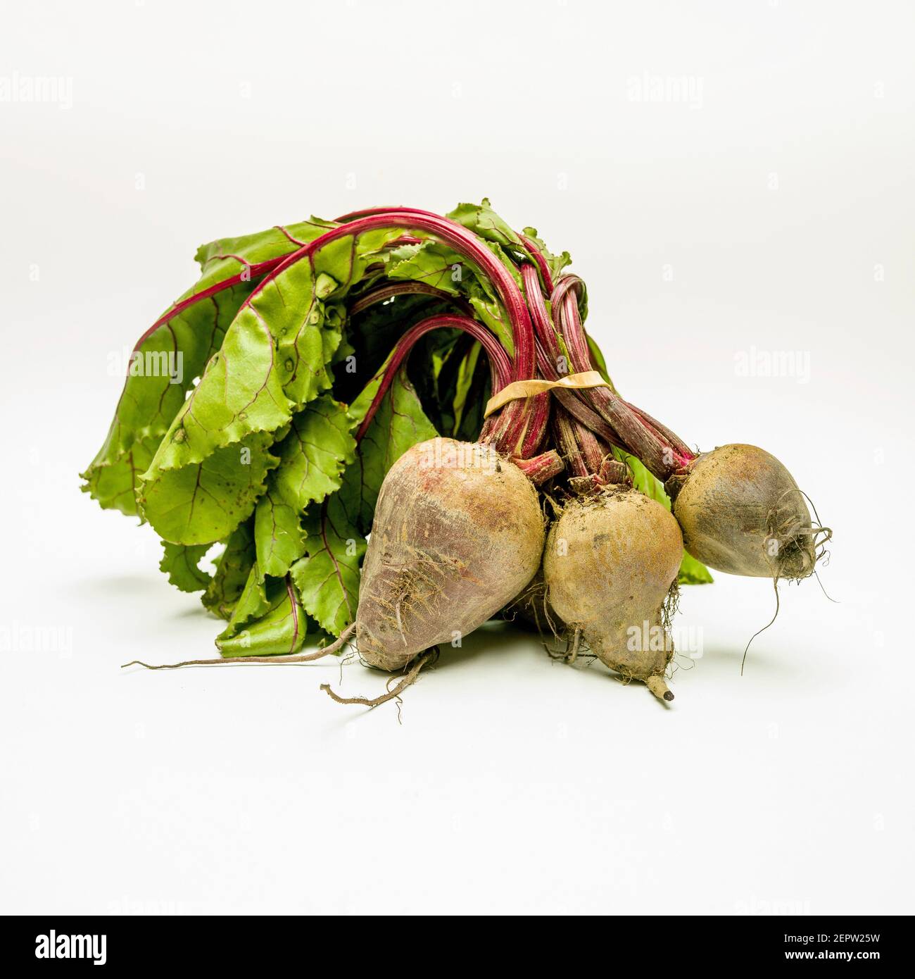 Frisch geerntete Rote Bete mit lebendigen Grüntönen auf einem sauberen Hintergrund, die ihre natürlichen Erdtöne hervorheben Stockfoto
