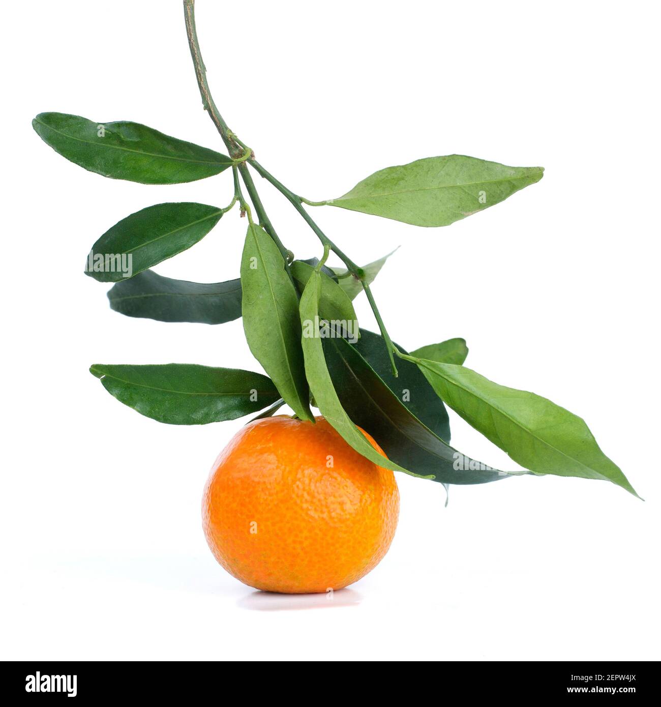 Frisches Orange mit grünen Blättern auf einer Oberfläche mit leuchtenden Farben Stockfoto