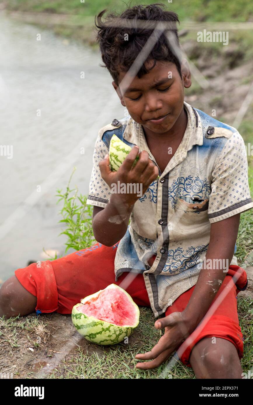 Alle Arbeiter beteiligen sich hier mit Wassermelone und Alligator peart Anbaugeschäft in Bangladesch. Stockfoto