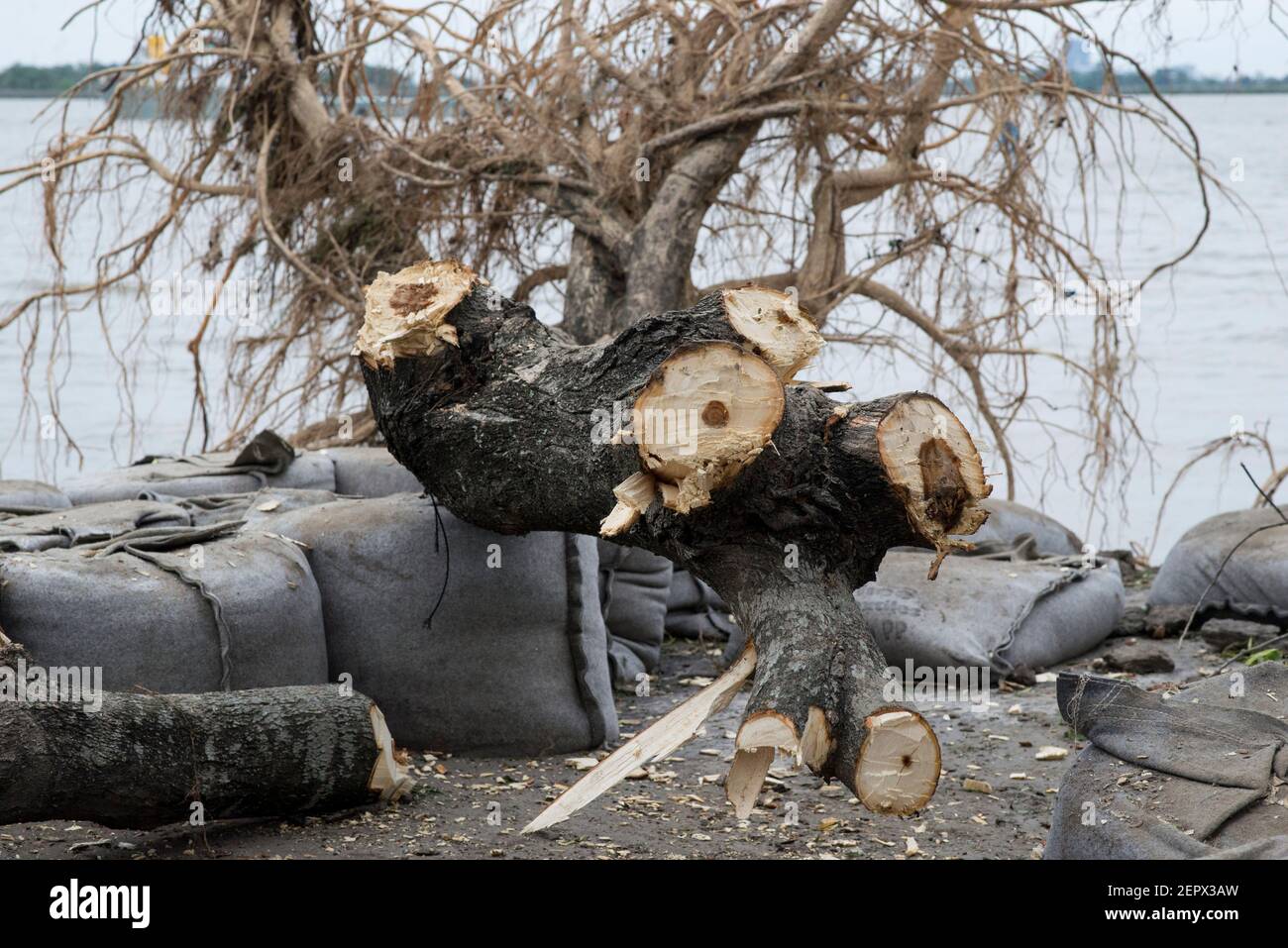 Dieses Foto zeigt die Auswirkungen des Klimawandels auf die Natur in Bangladesch. Stockfoto